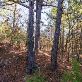 Stone Bridge Reserve Tract 6 in Haskell County, OK