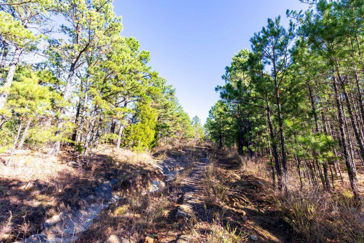 Stone Bridge Reserve Tract 6 - Image 4