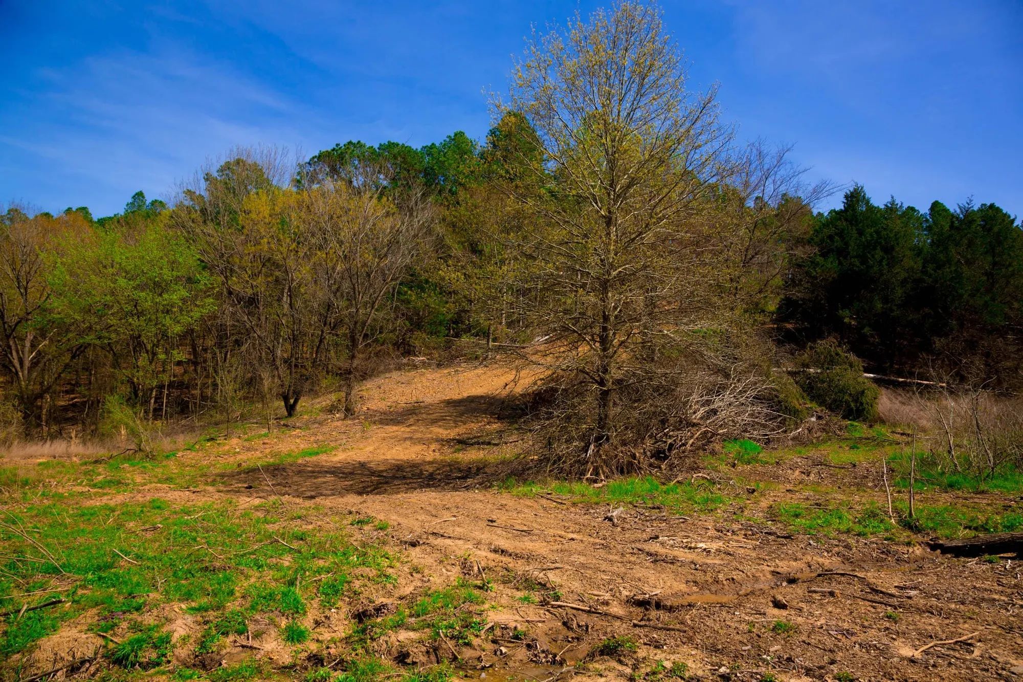 Stone Creek Phase II Tract 223 in Latimer County, OK