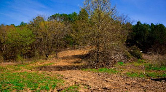 Stone Creek Phase II Tract 223 in Latimer County, OK