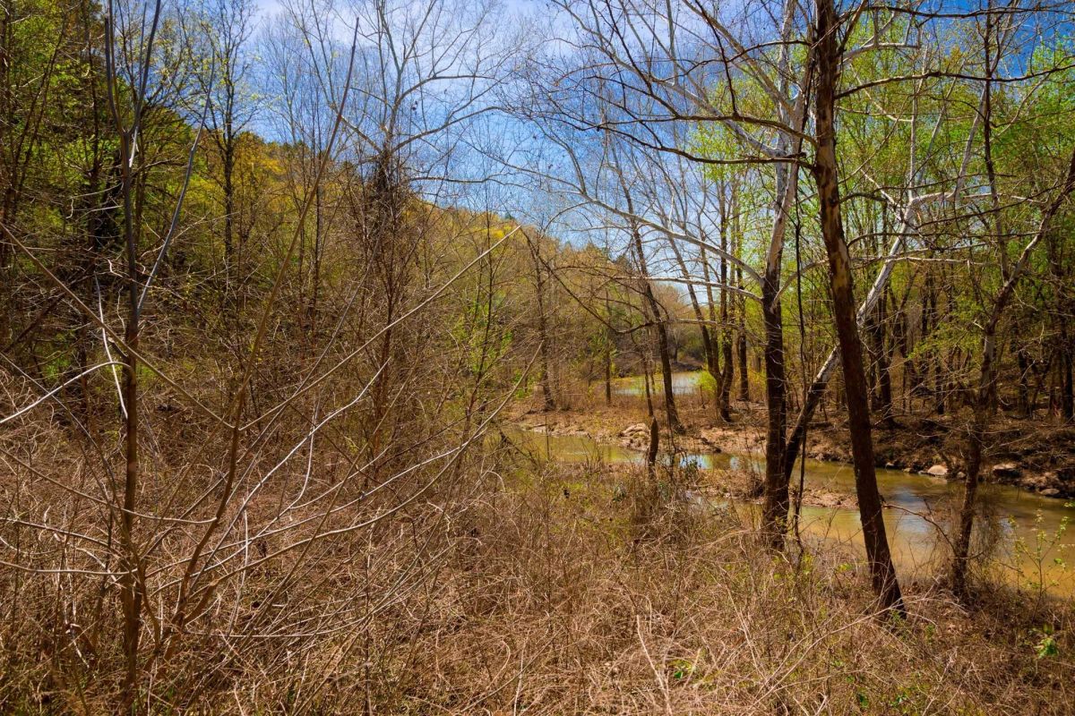 Decorative background for Stone Creek Phase II Tract 223 image 6
