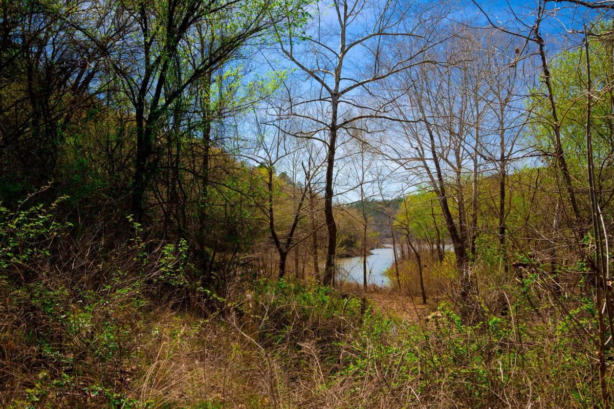 Decorative background for Stone Creek Phase II Tract 223 image 7