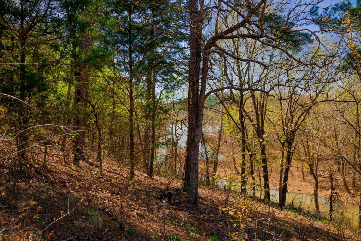 Decorative background for Stone Creek Phase II Tract 223 image 8