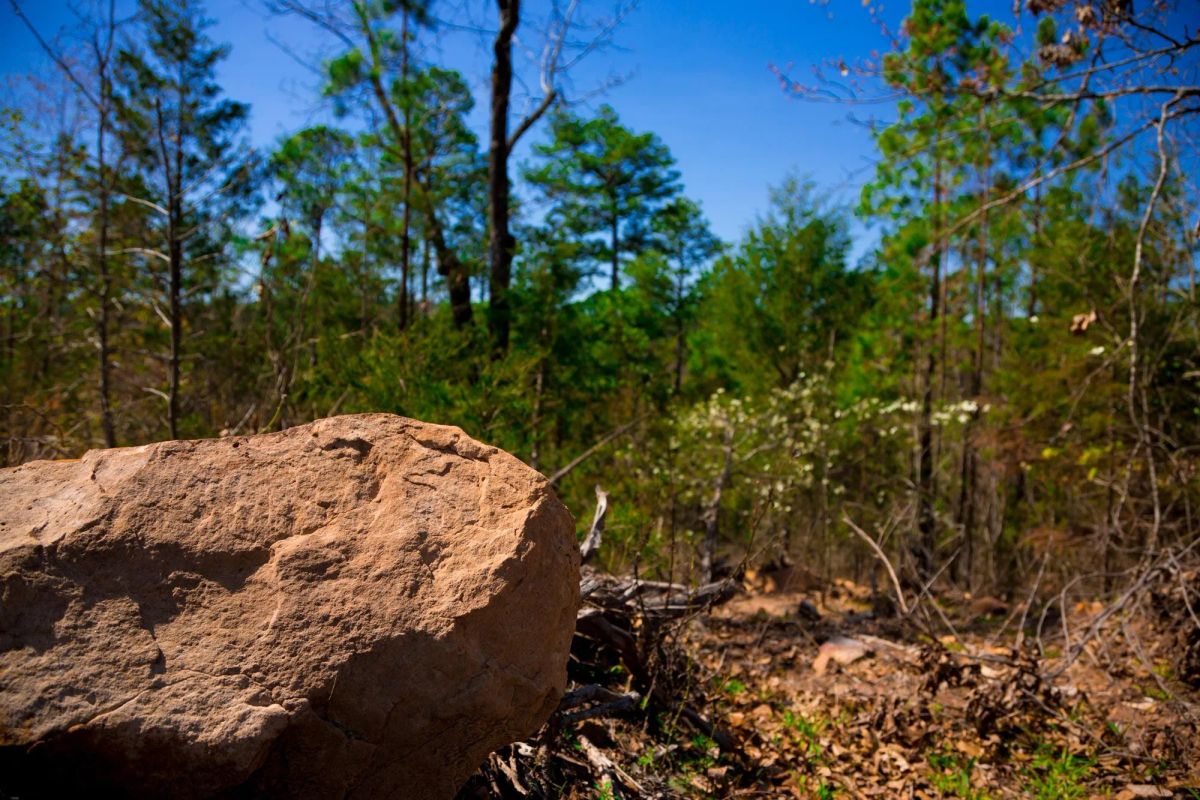 Decorative background for Stone Creek Phase II Tract 223 image 11