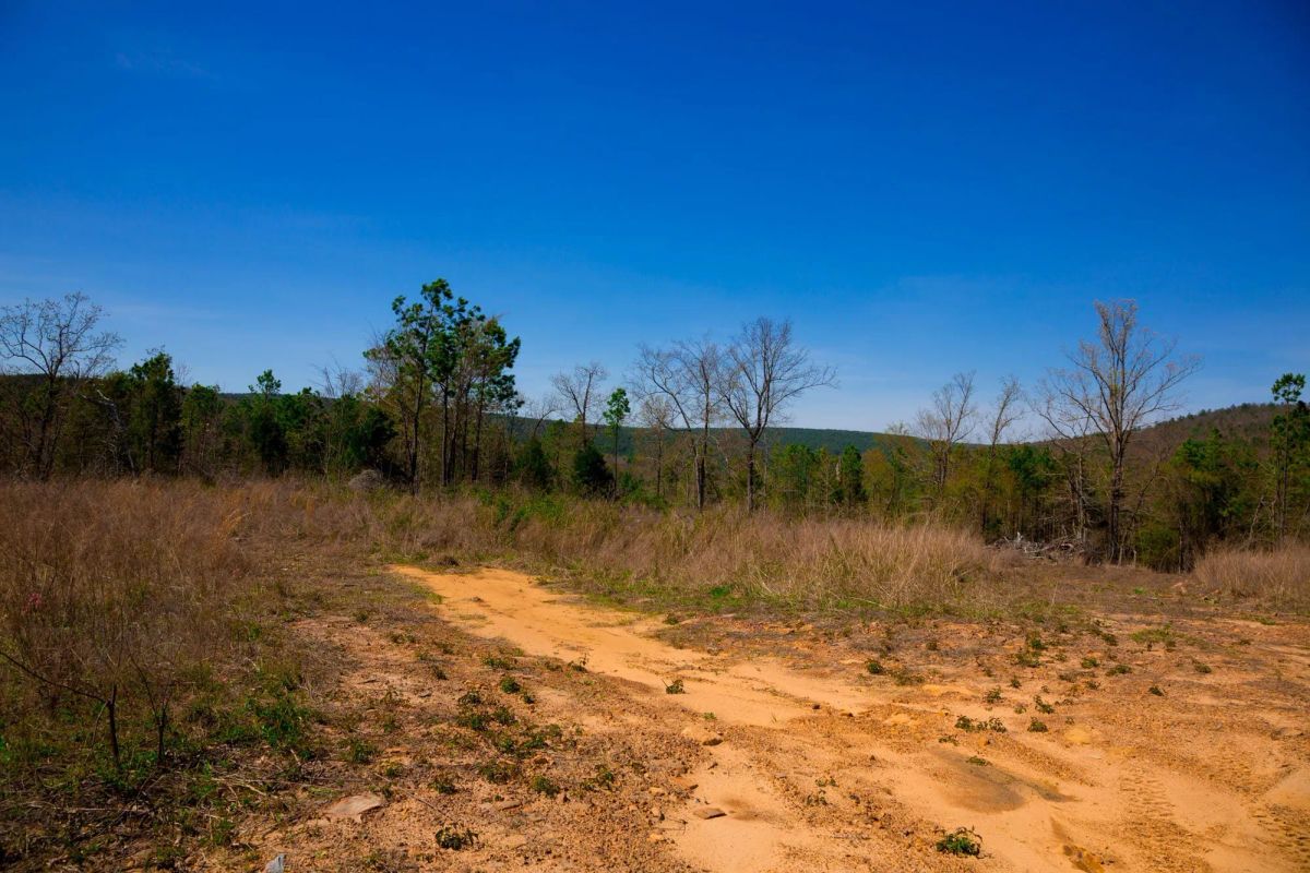 Decorative background for Stone Creek Phase II Tract 223 image 17