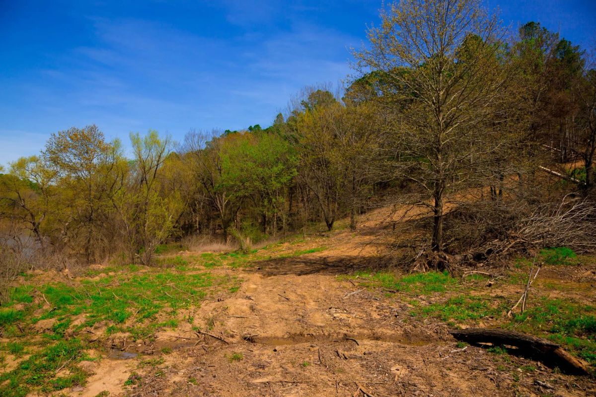 Decorative background for Stone Creek Phase II Tract 223 image 19