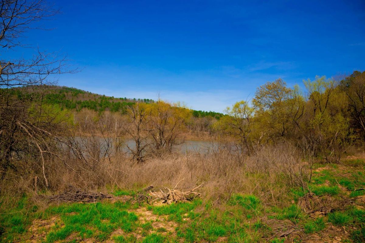 Decorative background for Stone Creek Phase II Tract 223 image 20
