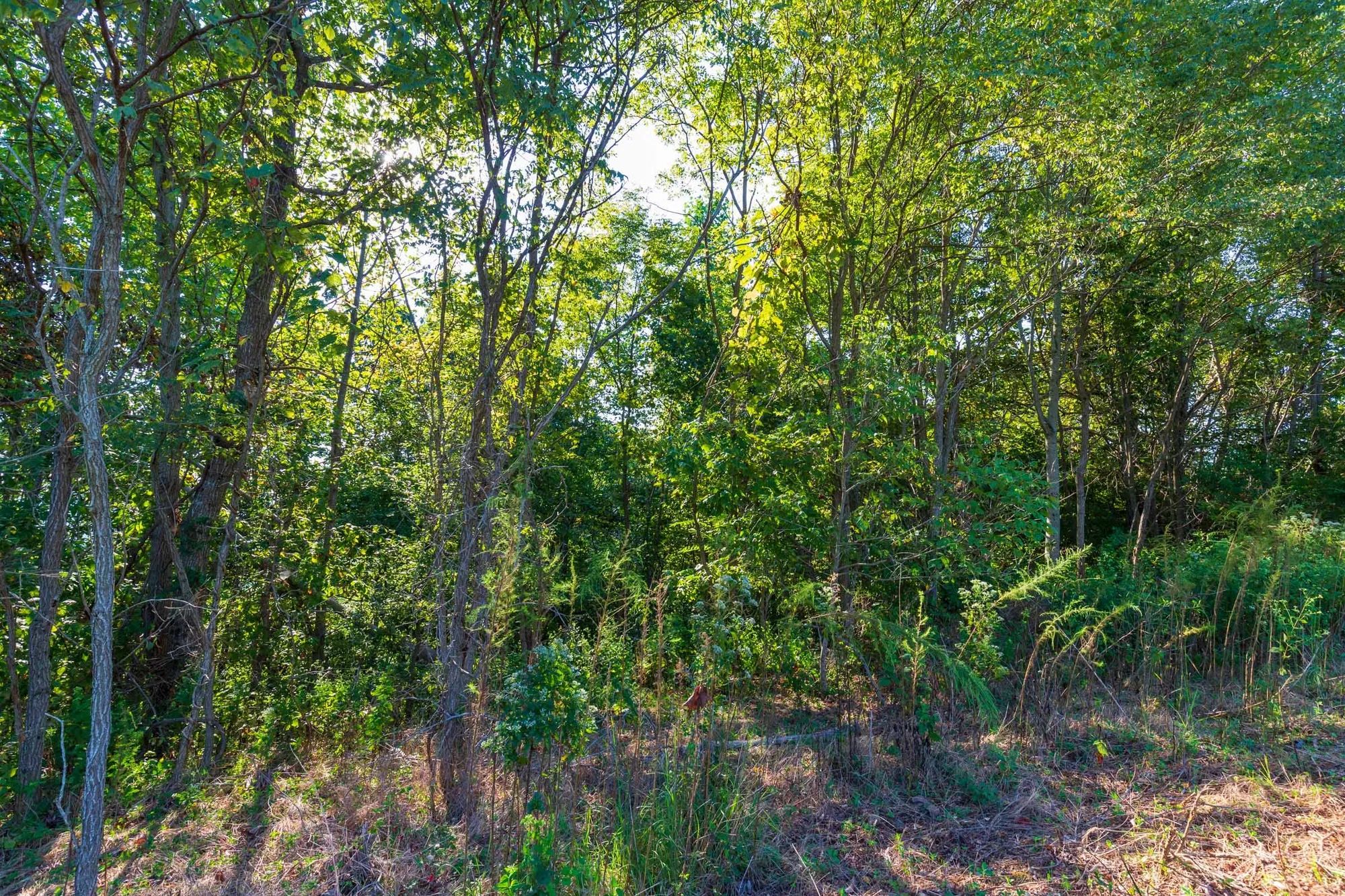 Redemption Ridge Tract 2 in Wayne County, TN