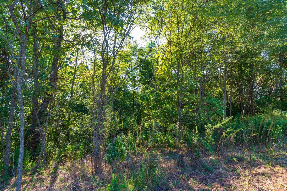 Redemption Ridge Tract 2 - Image 3