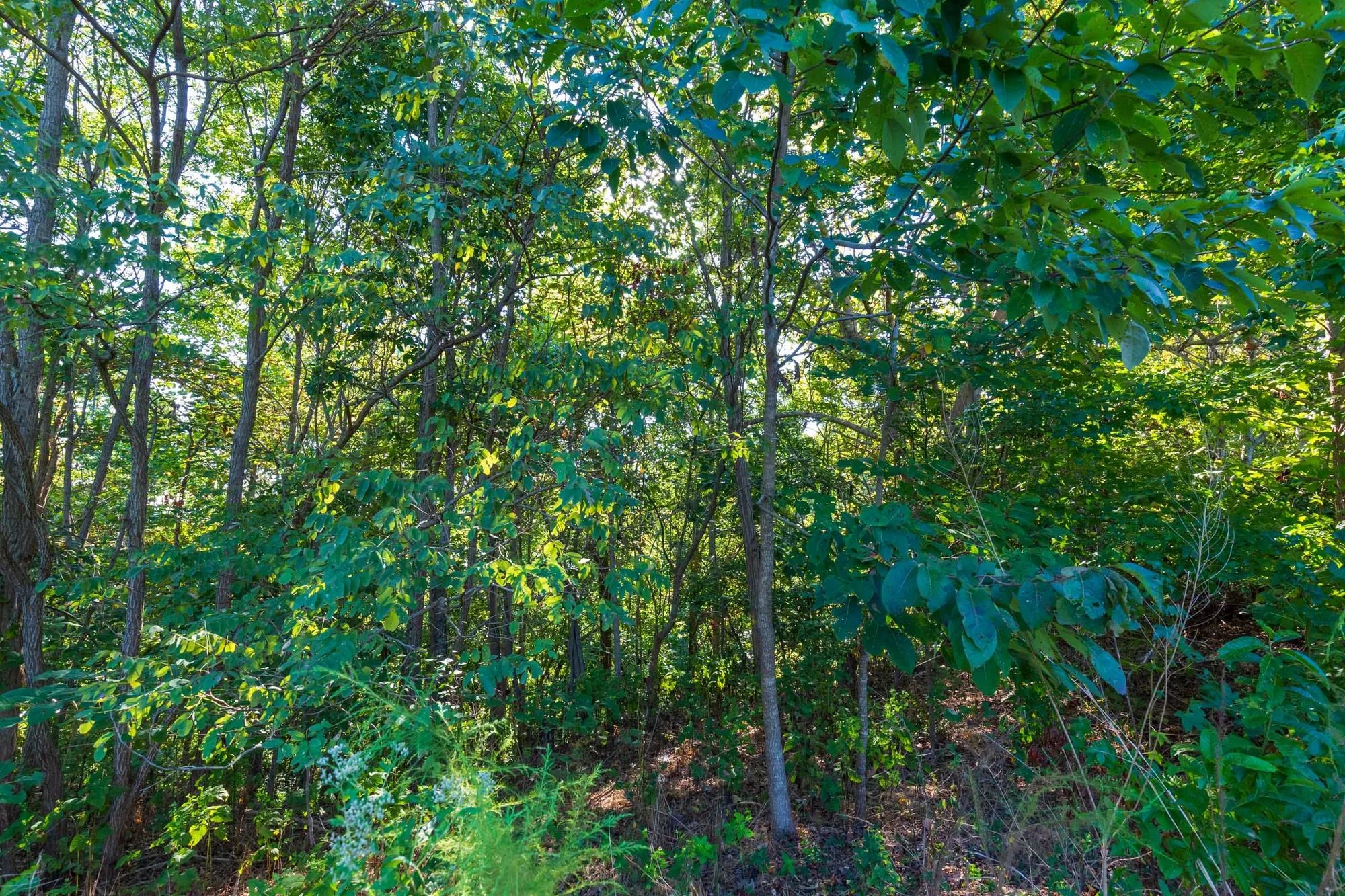 Redemption Ridge Tract 2 in Wayne County, TN
