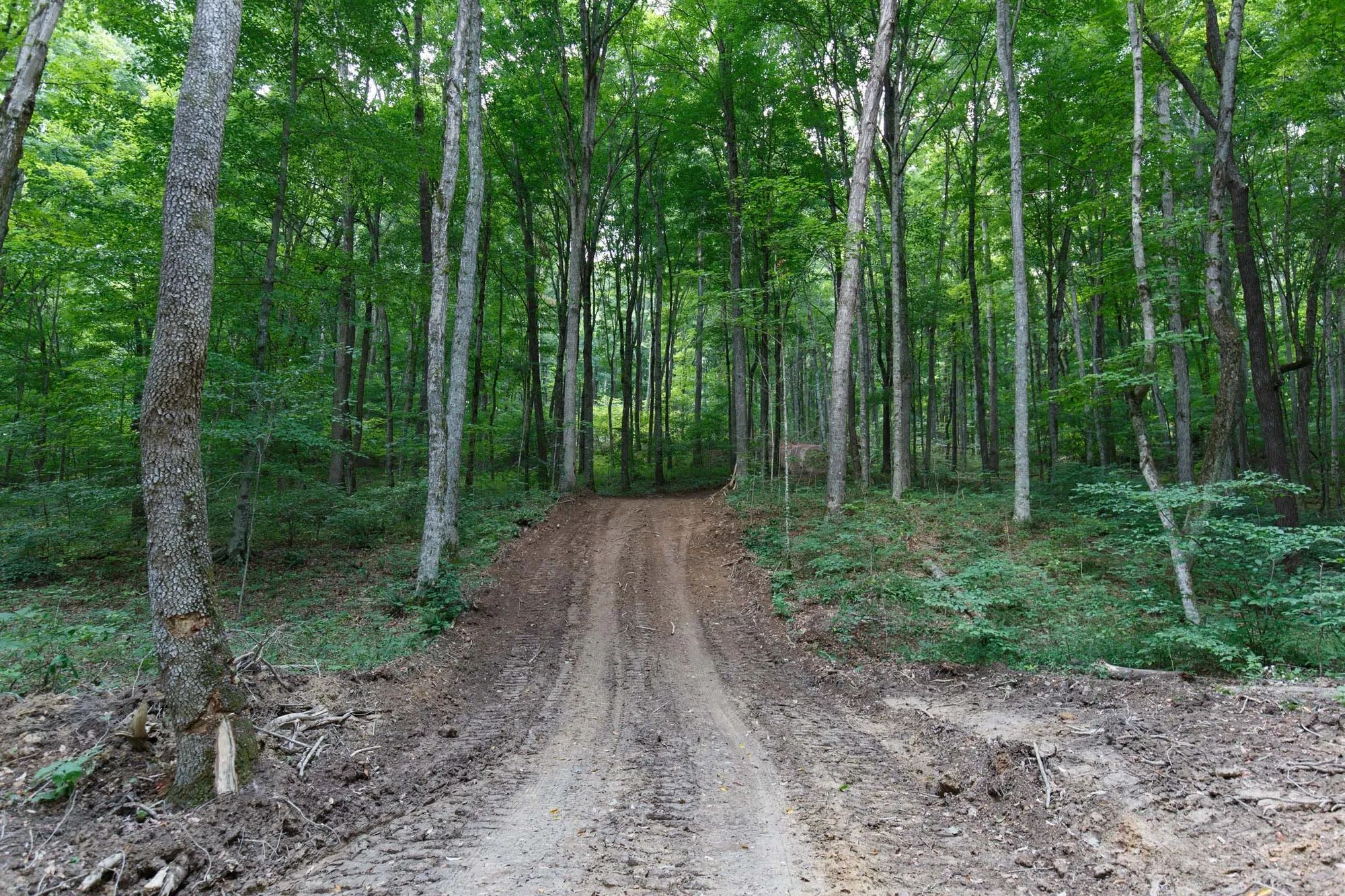 Rolling Hills Tract 15 in Wayne County, KY