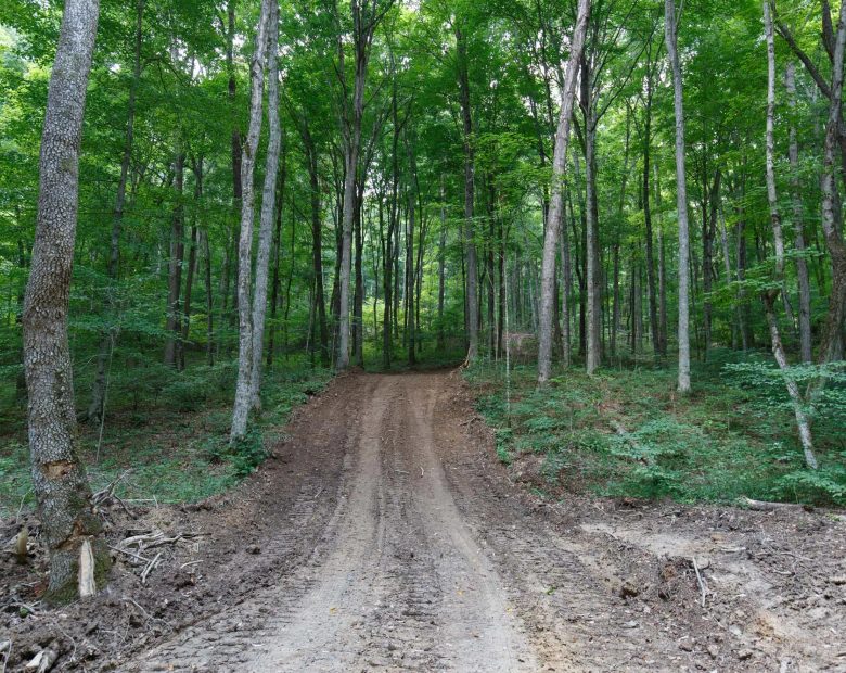 Rolling Hills Tract 15 in Wayne County, KY