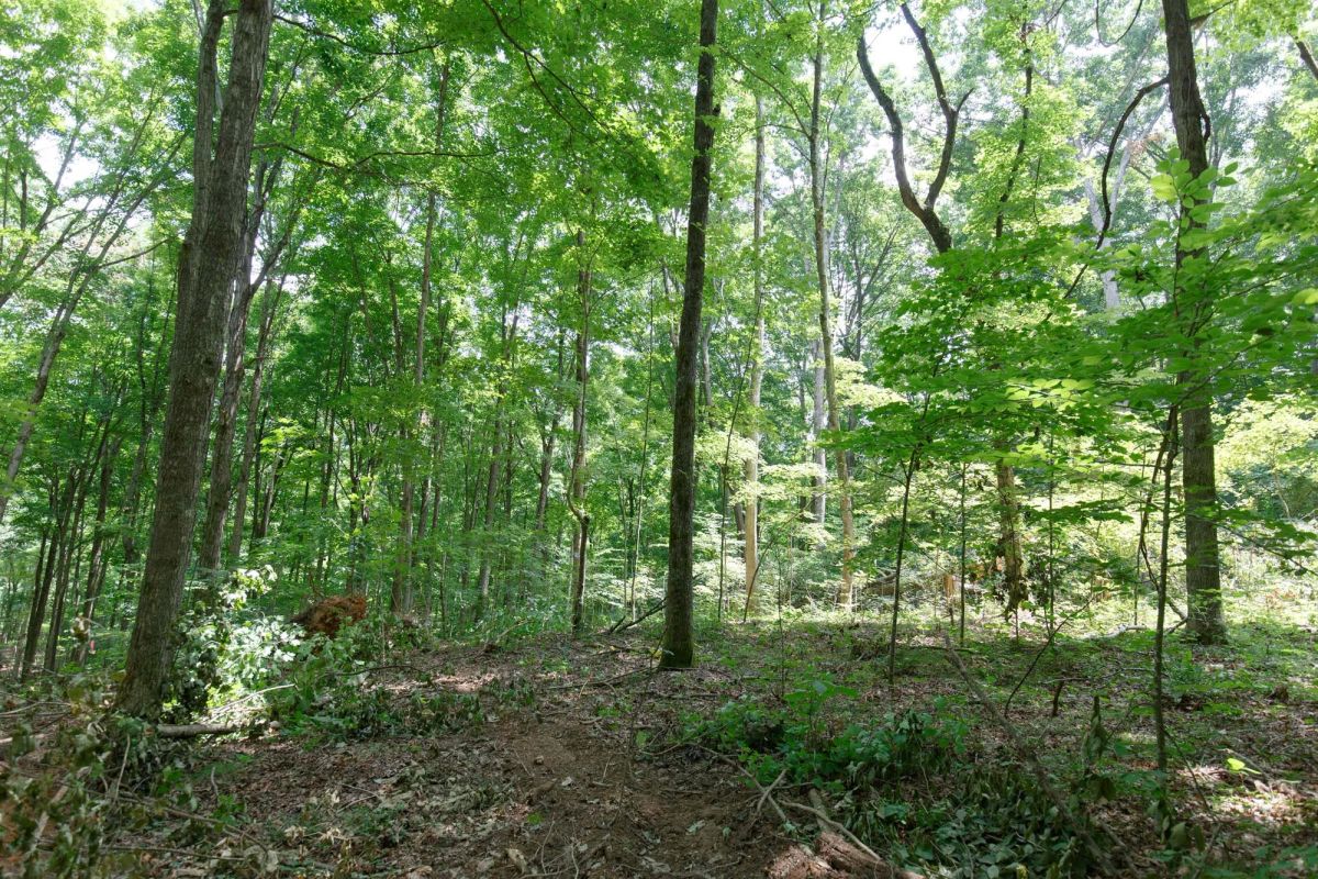 Rolling Hills Tract 15 - Image 3