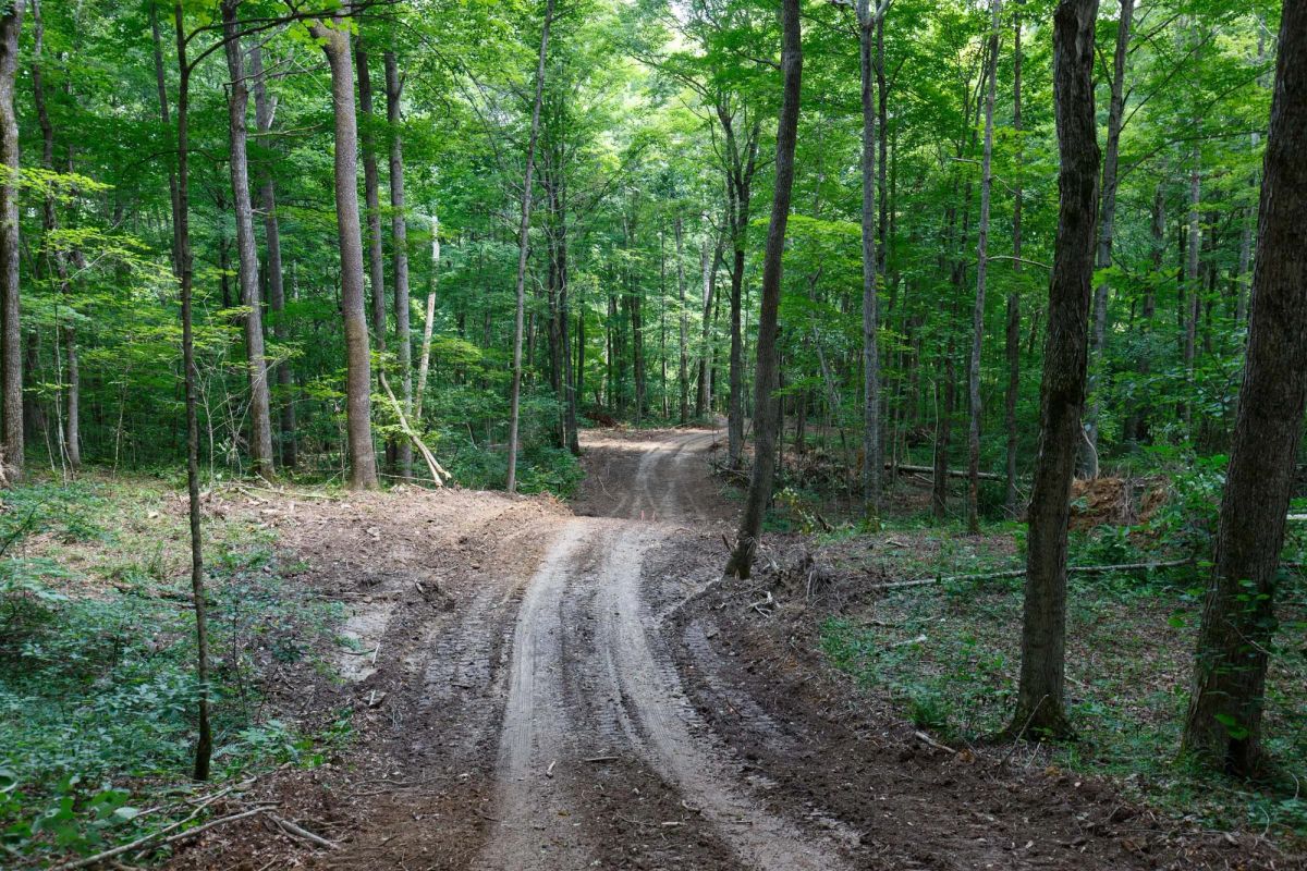 Decorative background for Rolling Hills Tract 15 image 6