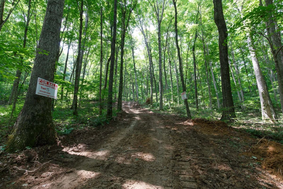 Decorative background for Rolling Hills Tract 15 image 9