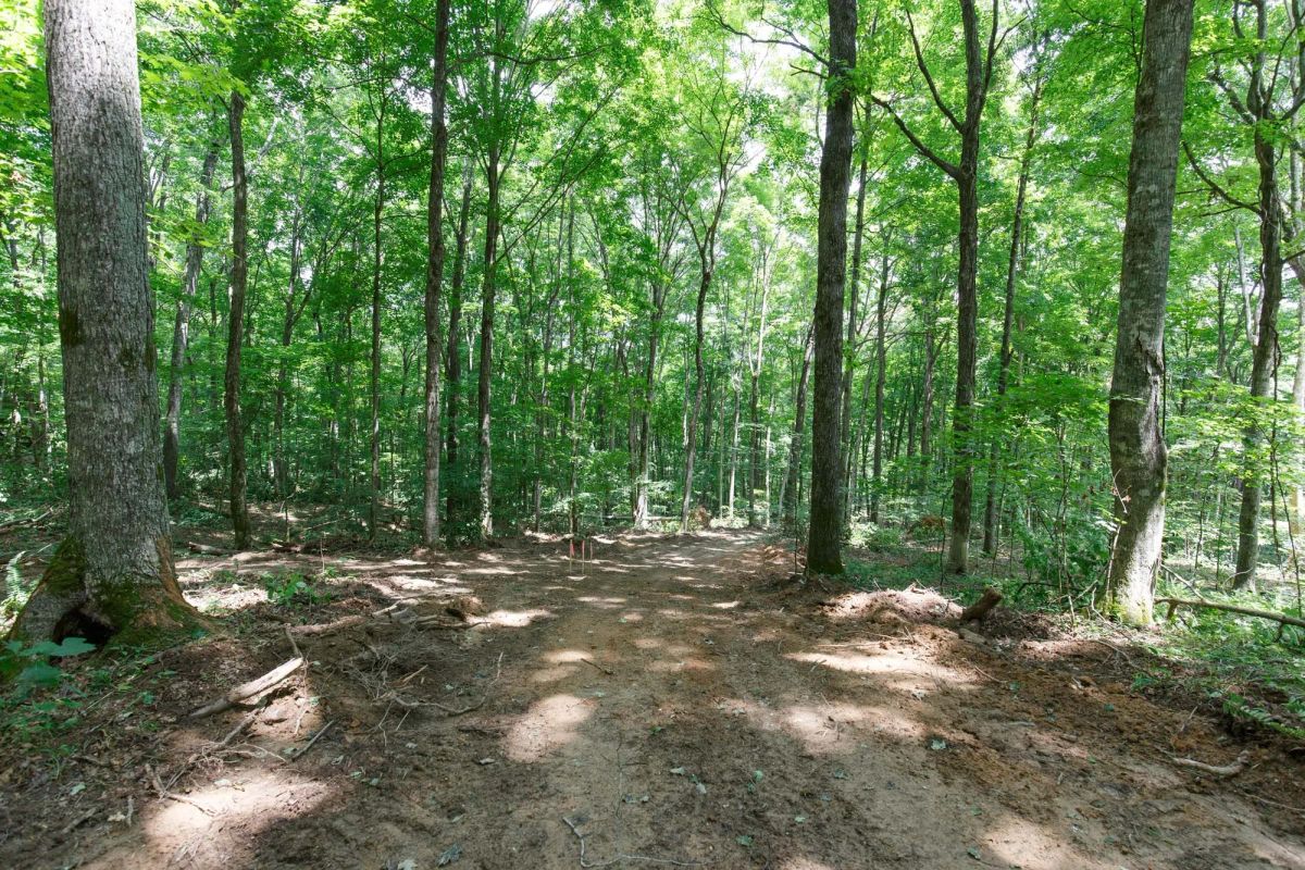 Decorative background for Rolling Hills Tract 15 image 12