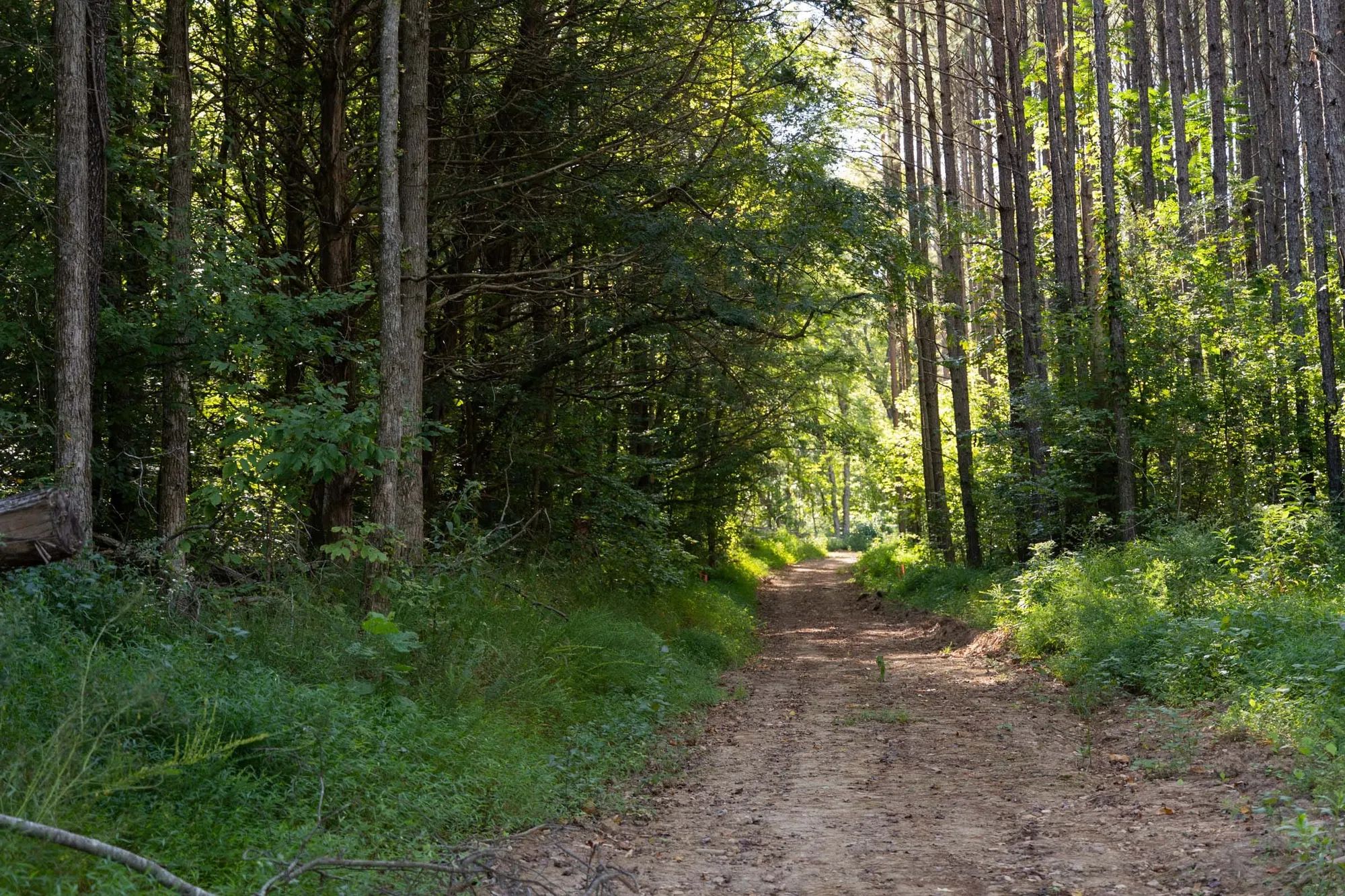 Big White Oak Tract 83 in Perry County, TN