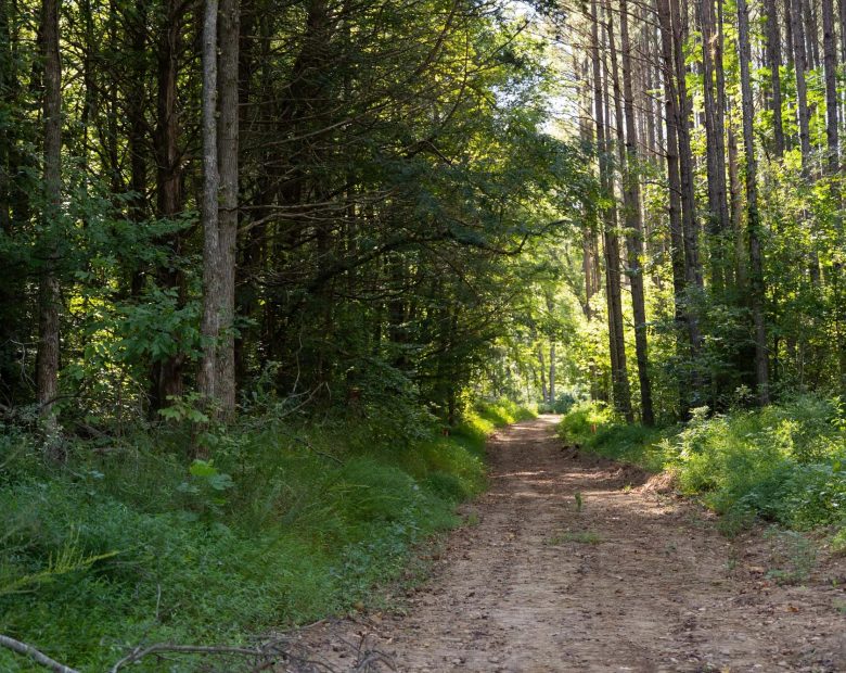 Big White Oak Tract 83 in Perry County, TN