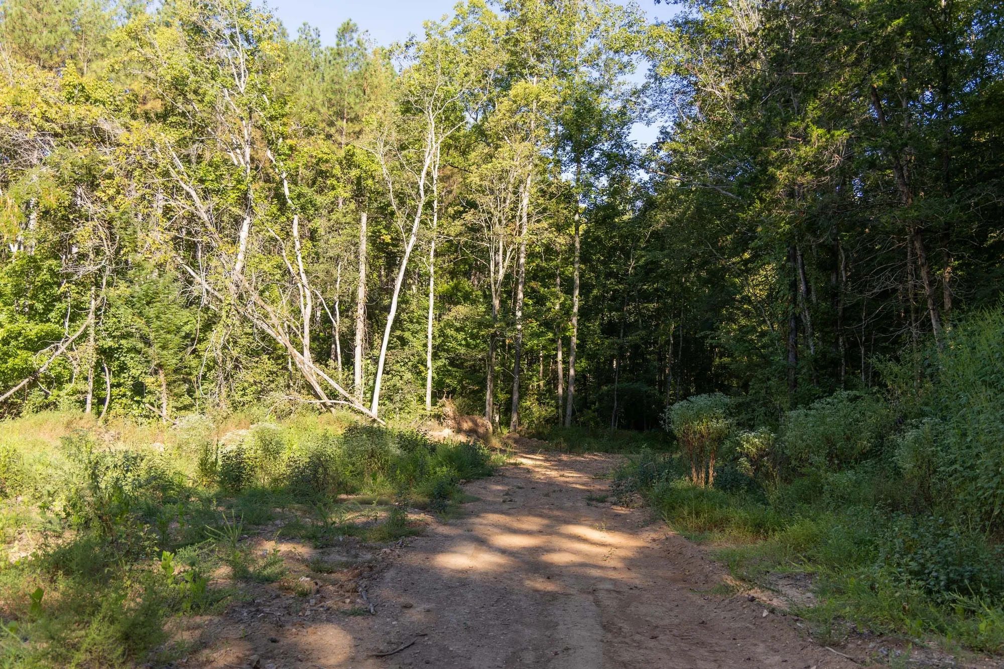 Big White Oak Tract 83 in Perry County, TN