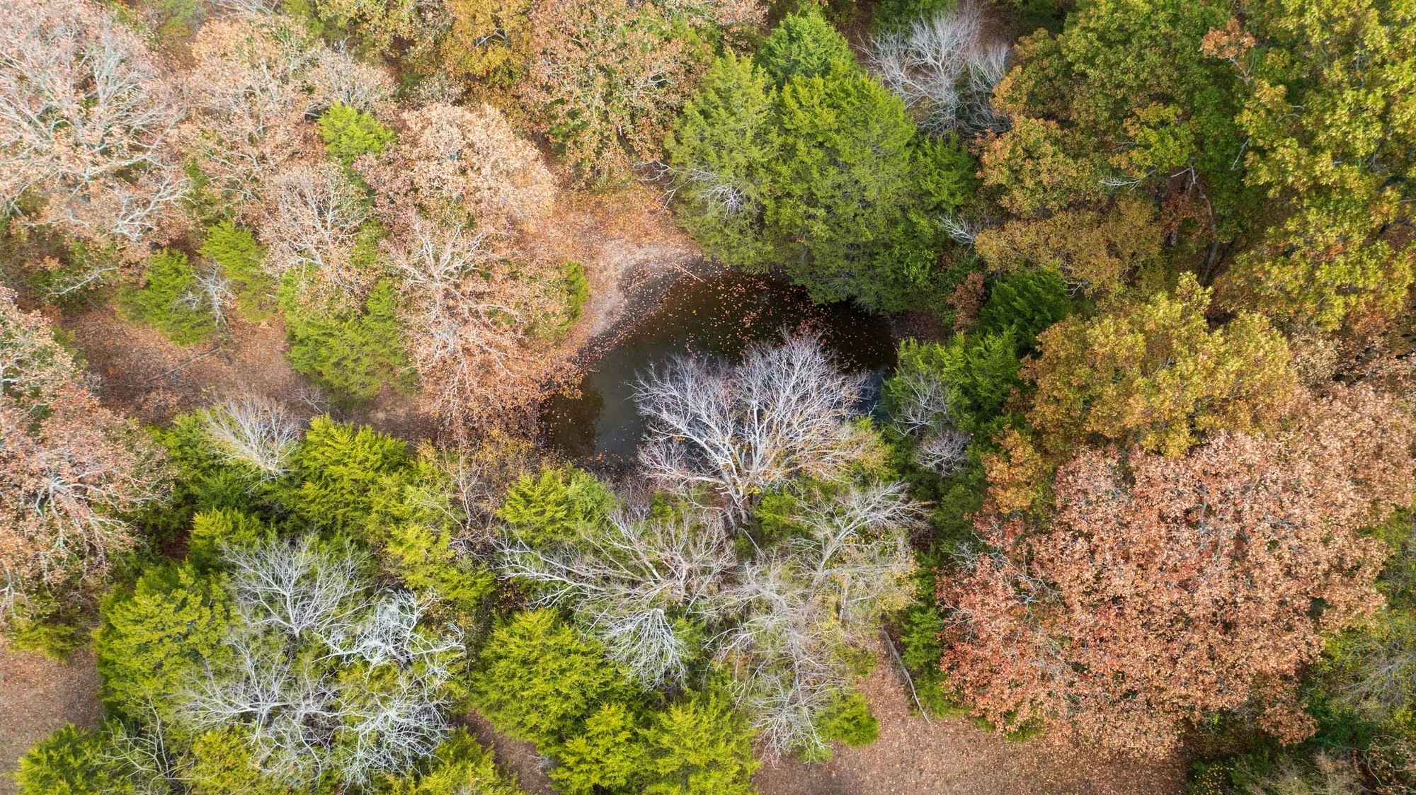 Crystal Springs Tract 2 in McIntosh County, OK