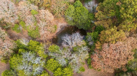 Crystal Springs Tract 2 in McIntosh County, OK