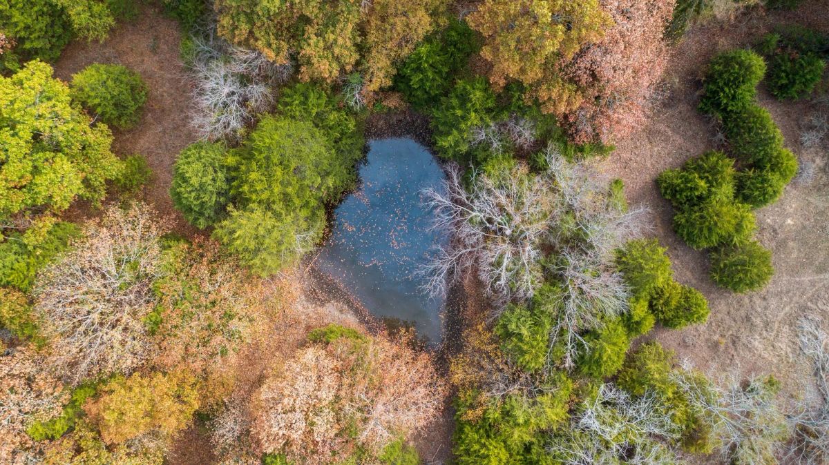 Crystal Springs Tract 2 - Image 3