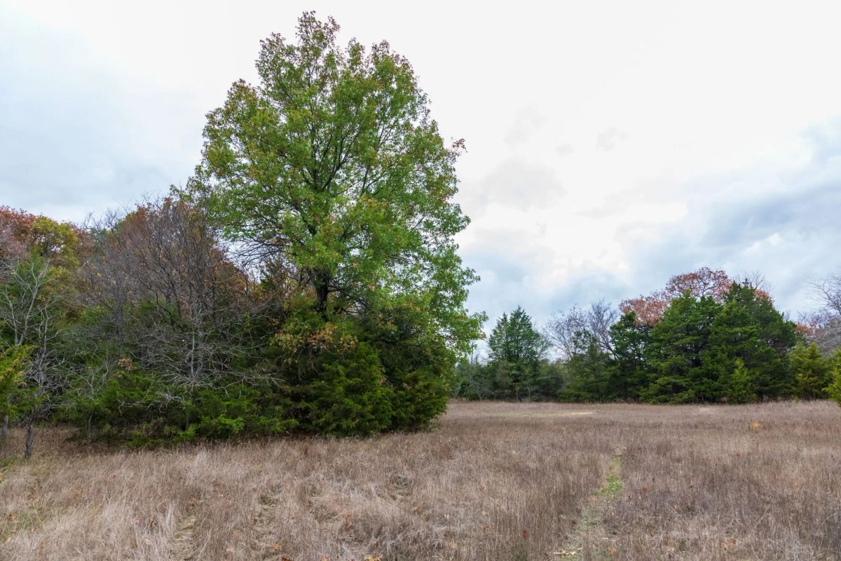 Decorative background for Crystal Springs Tract 2 image 5