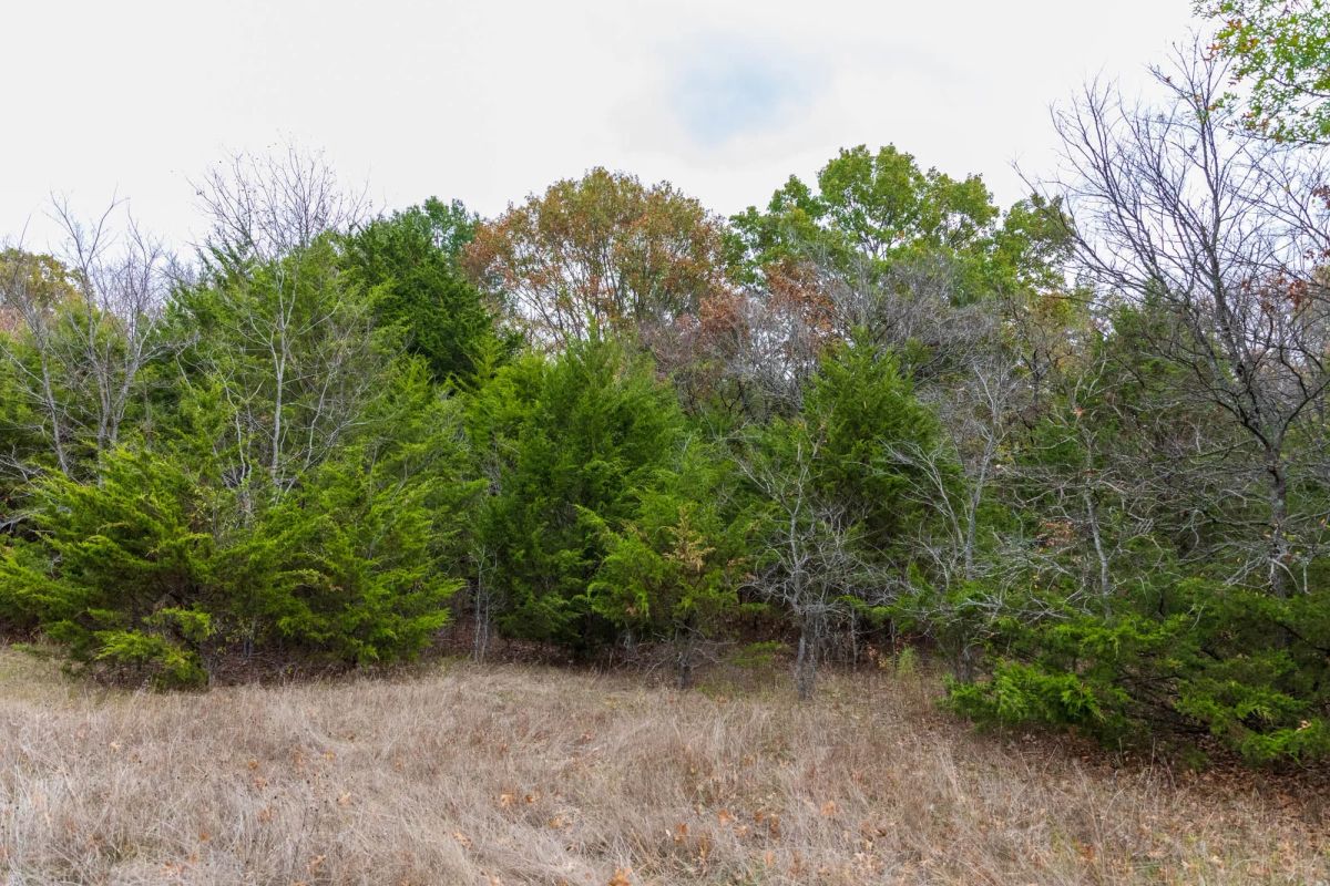 Decorative background for Crystal Springs Tract 2 image 6