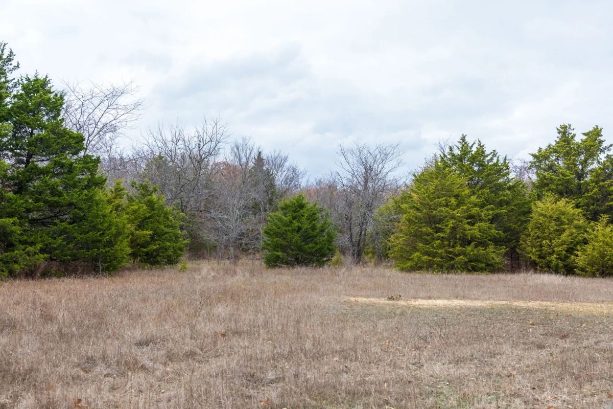 Decorative background for Crystal Springs Tract 2 image 9