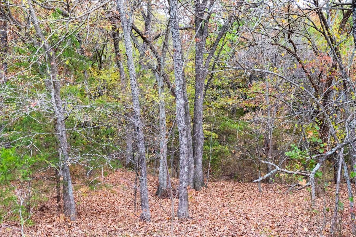 Decorative background for Crystal Springs Tract 2 image 11