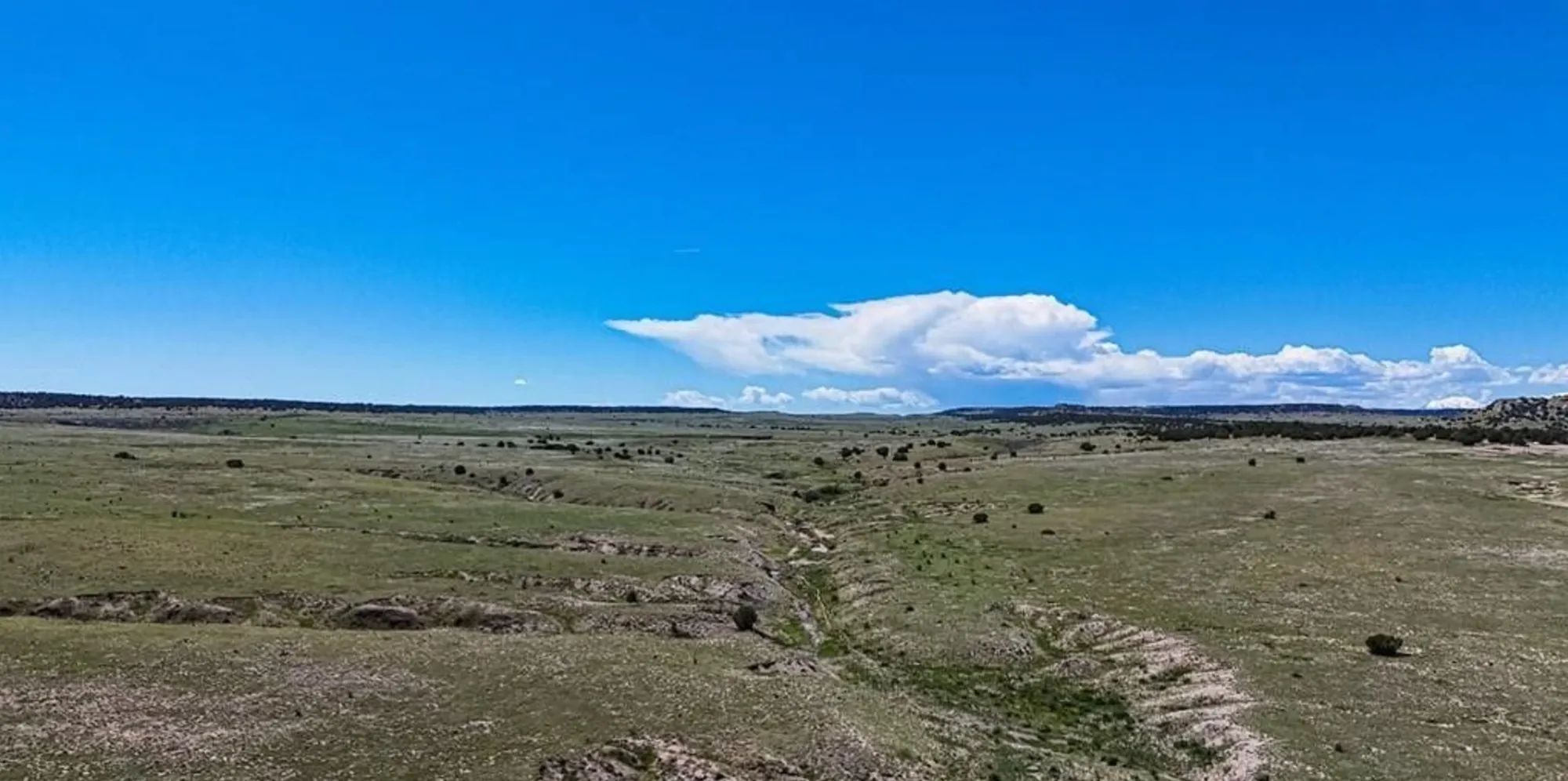Colorado City Tract 561 in Pueblo County, CO