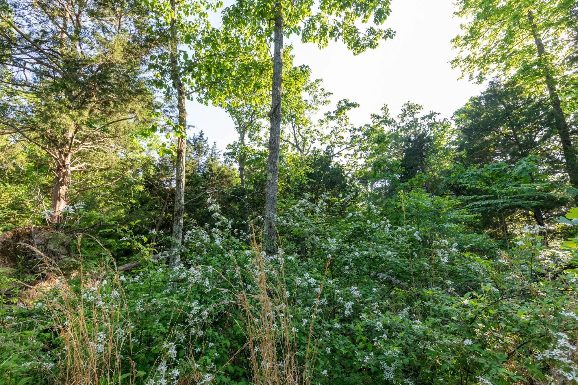 Cedar Creek Tract 58 in Perry County, TN