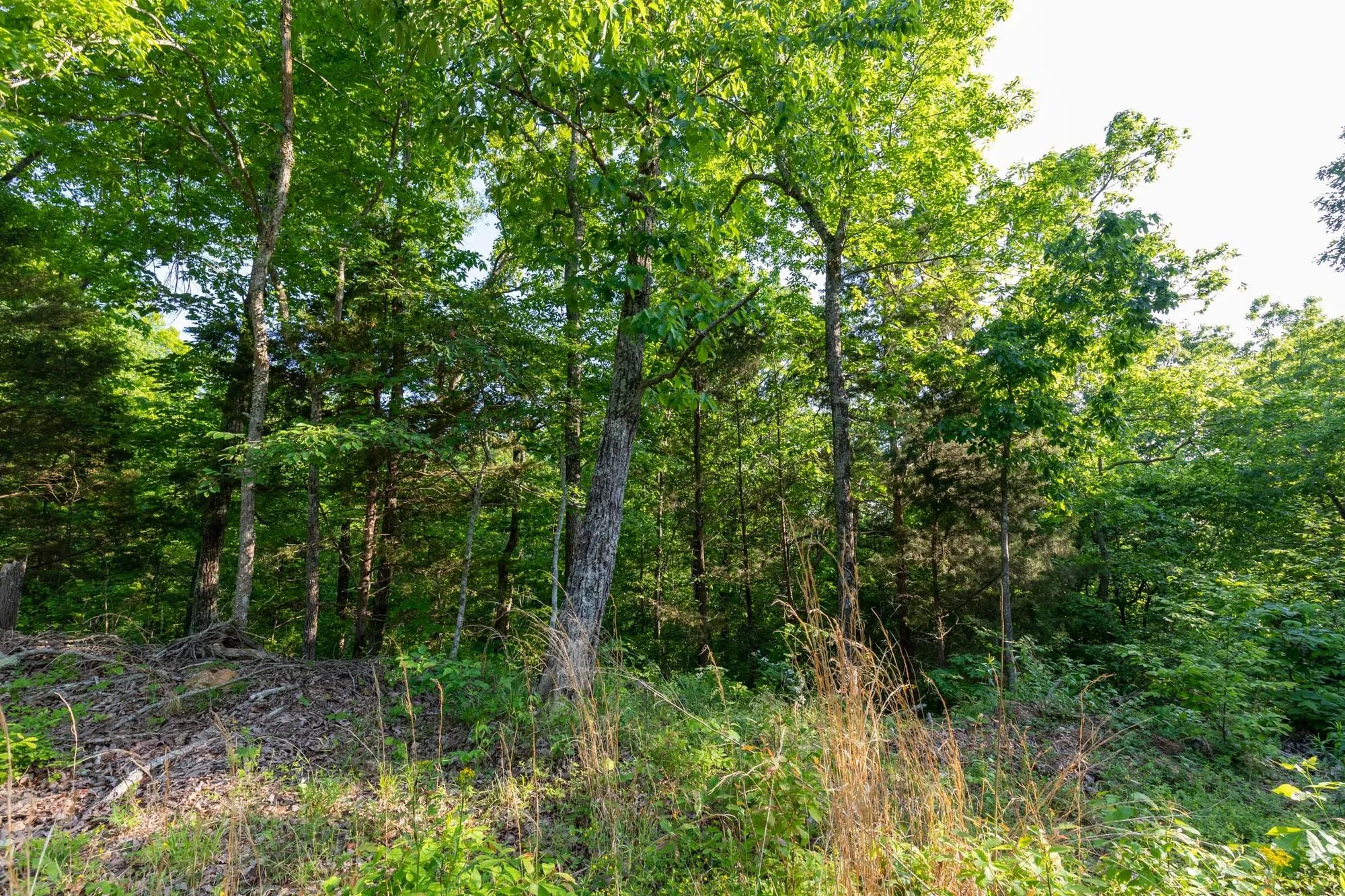 Cedar Creek Tract 58 in Perry County, TN