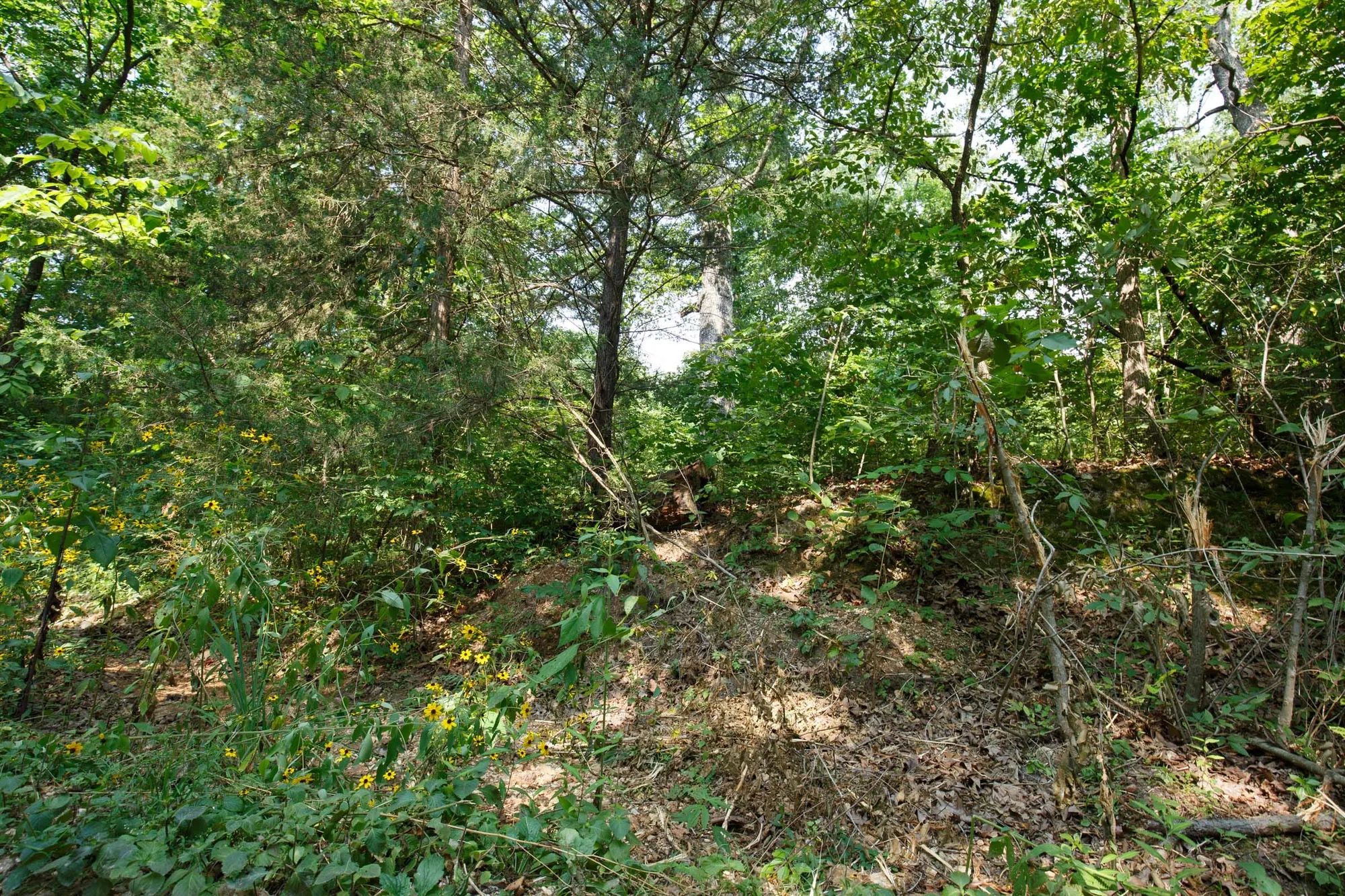 Spring Lake Plat 2 Tract 10 in Miller County, MO