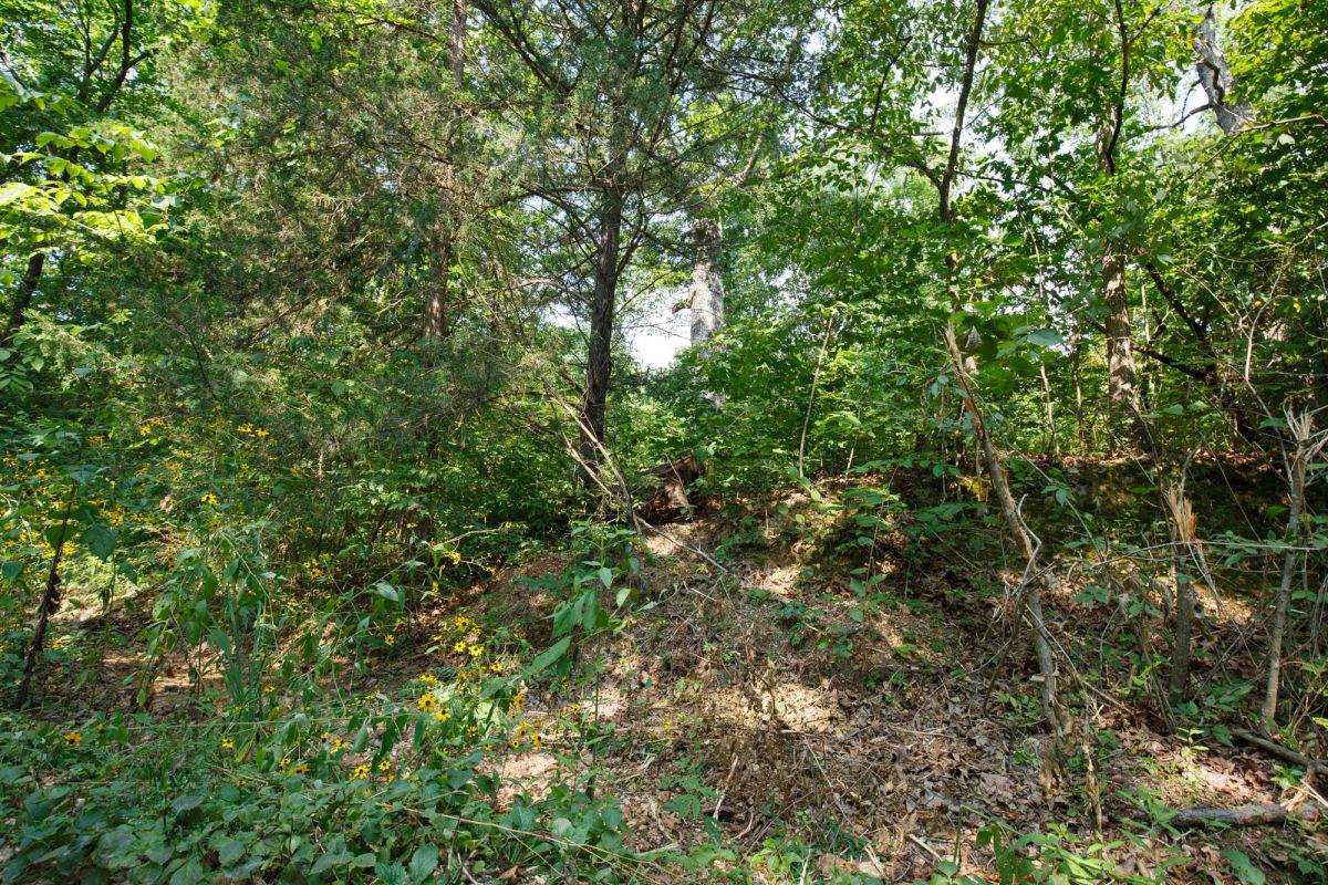 Spring Lake Plat 2 Tract 10 - Image 2
