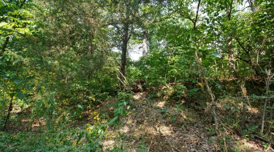Spring Lake Plat 2 Tract 10 in Miller County, MO
