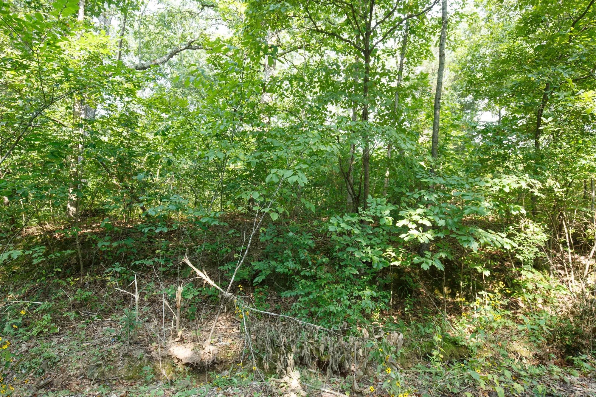 Spring Lake Plat 2 Tract 10 in Miller County, MO