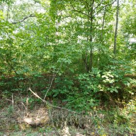 Spring Lake Plat 2 Tract 10 in Miller County, MO