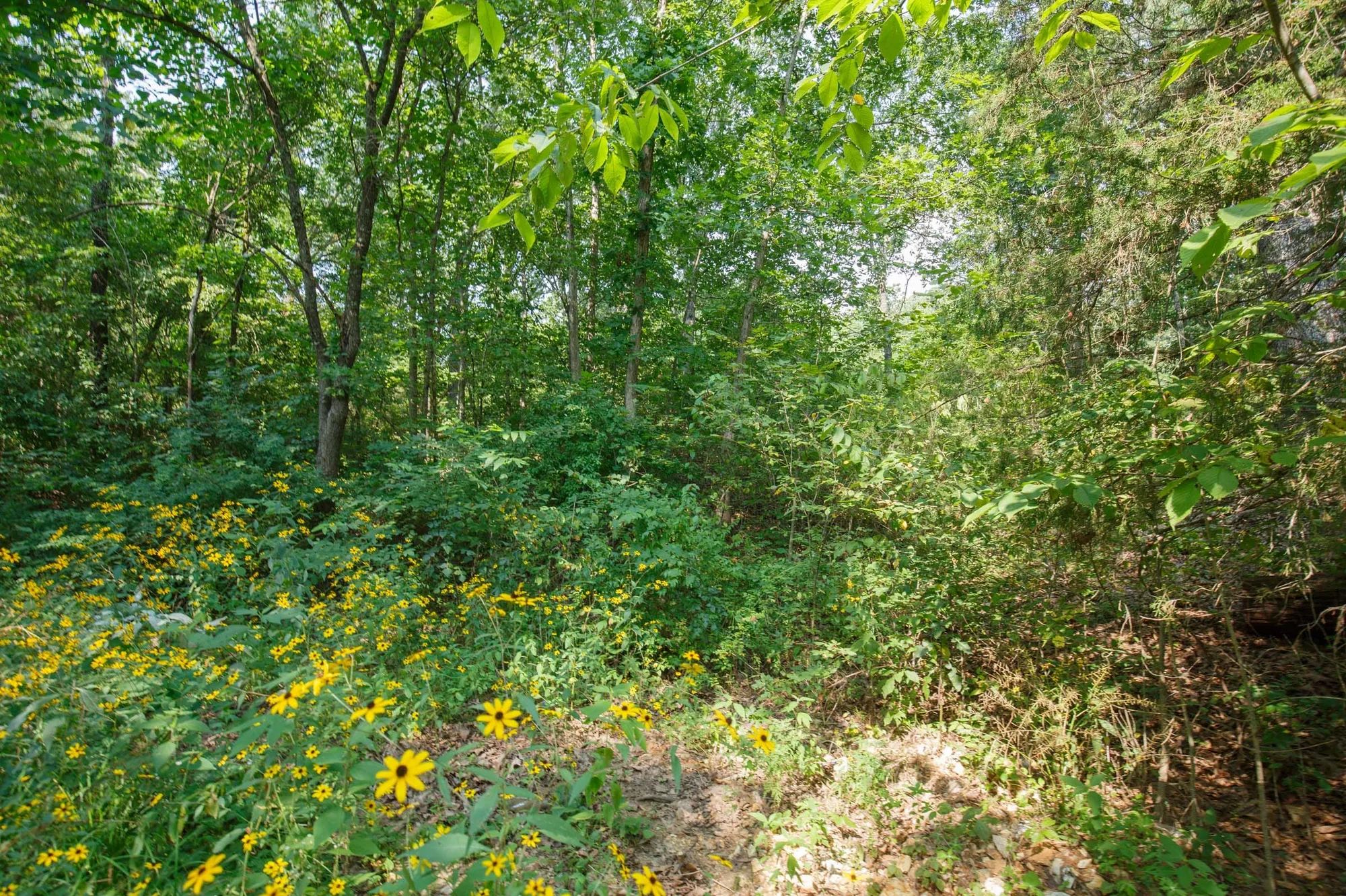 Spring Lake Plat 2 Tract 10 in Miller County, MO