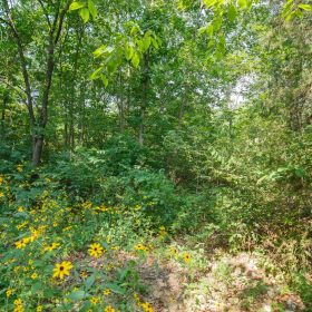 Spring Lake Plat 2 Tract 10 in Miller County, MO