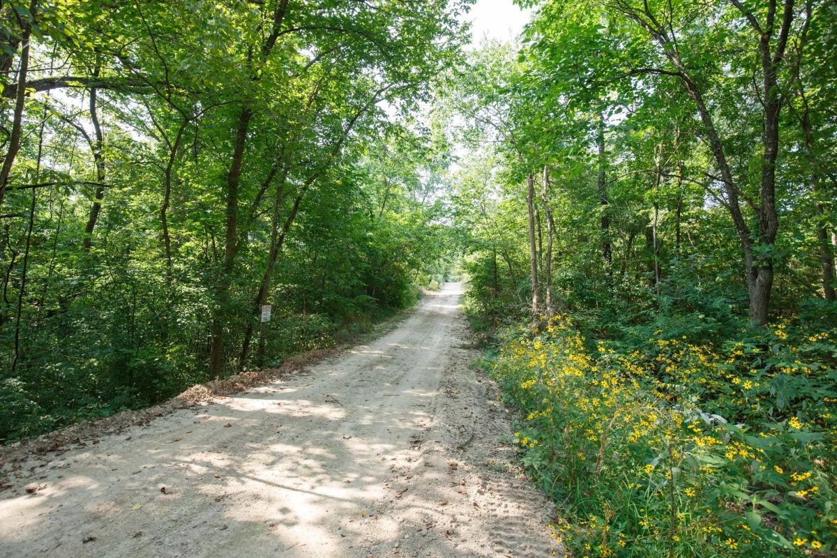 Decorative background for Spring Lake Plat 2 Tract 10 image 5