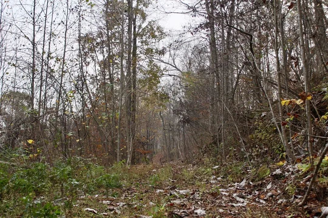 Autumn Ridge Tract 12 in Leslie County, KY