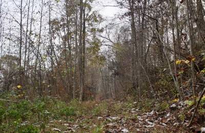 Autumn Ridge Tract 12