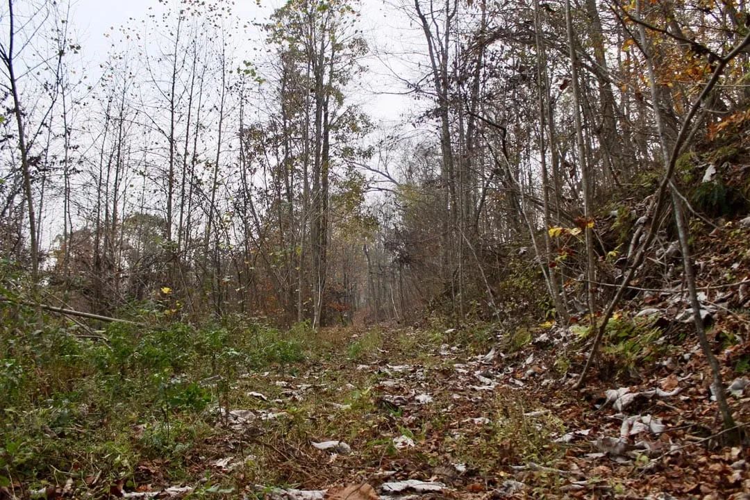 Autumn Ridge Tract 12 - Image 2
