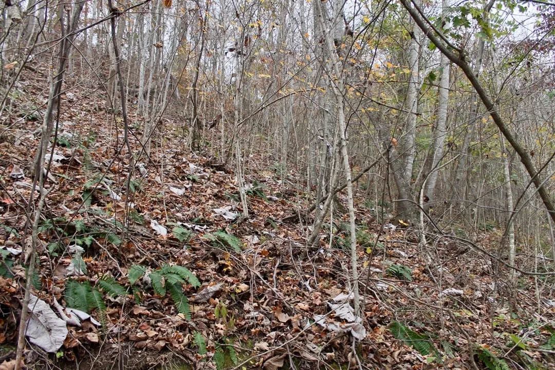 Autumn Ridge Tract 12 - Image 3