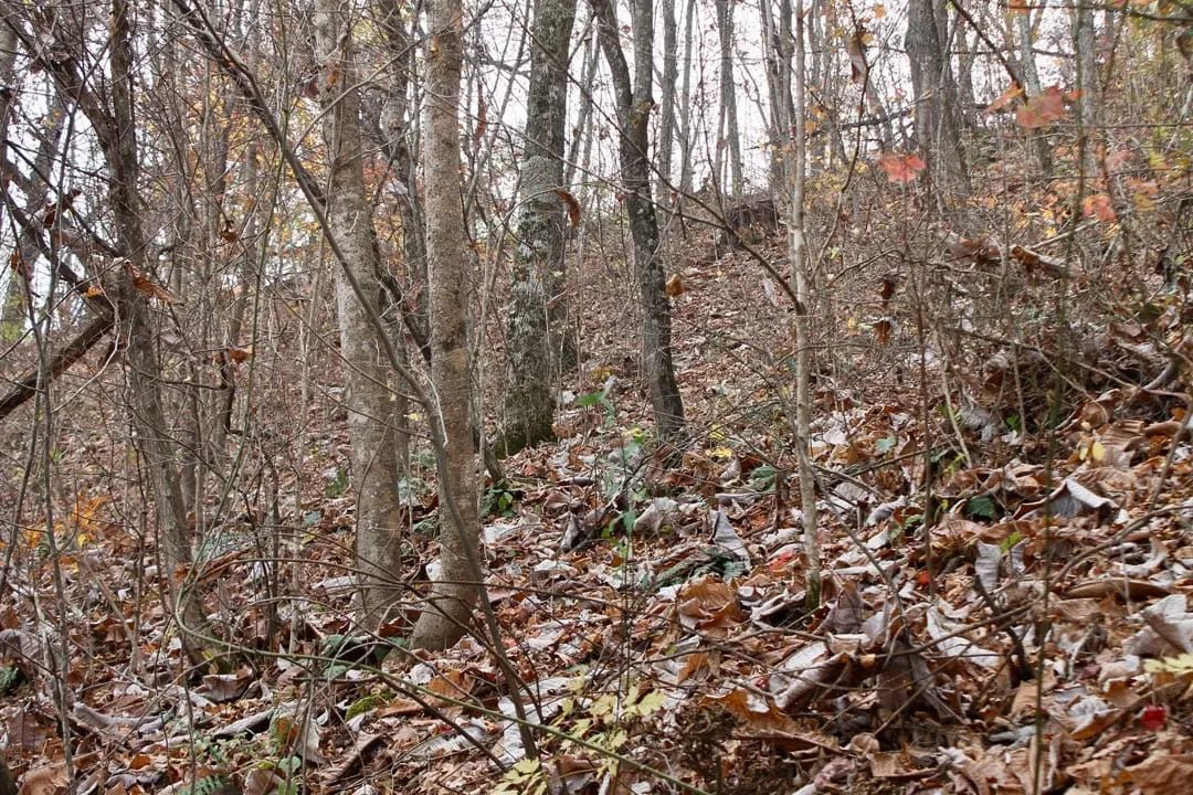 Decorative background for Autumn Ridge Tract 12 image 8