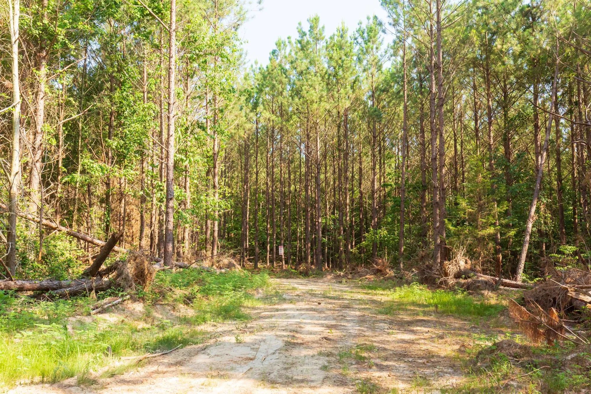 Whiskey Ridge Tract 88 in Henderson County, TN