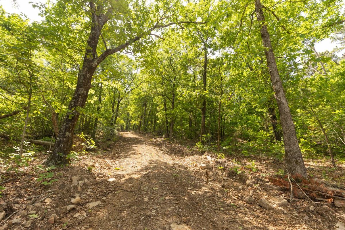 Stone Bridge Reserve Tract 34 - Image 2