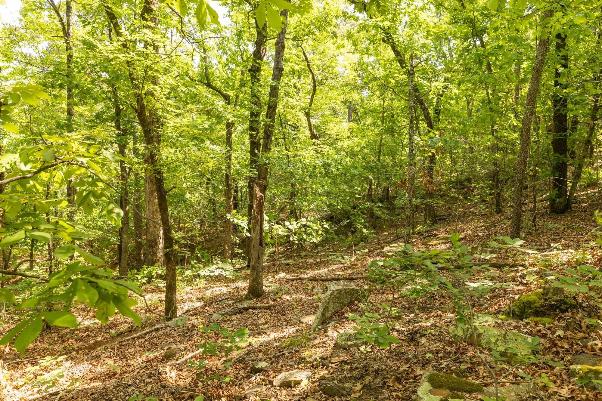 Stone Bridge Reserve Tract 34 in Latimer County, OK