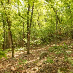 Stone Bridge Reserve Tract 34 in Latimer County, OK